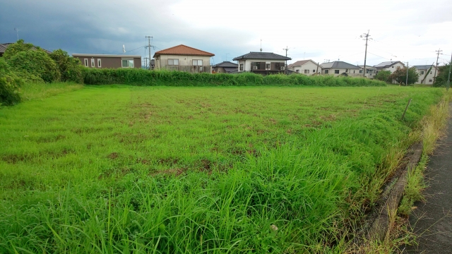 農地を相続する際の注意点・節税対策や農業をしない場合の活用方法も紹介